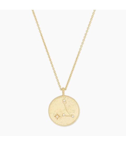 Astrology Coin Necklace (Pisces)