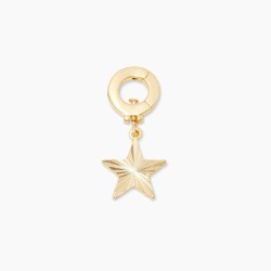 Star Parker Charm